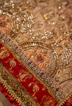 Vashah Baad E Saba Shawl - Hand Embroidered Organza Shawl - Shopping Karado