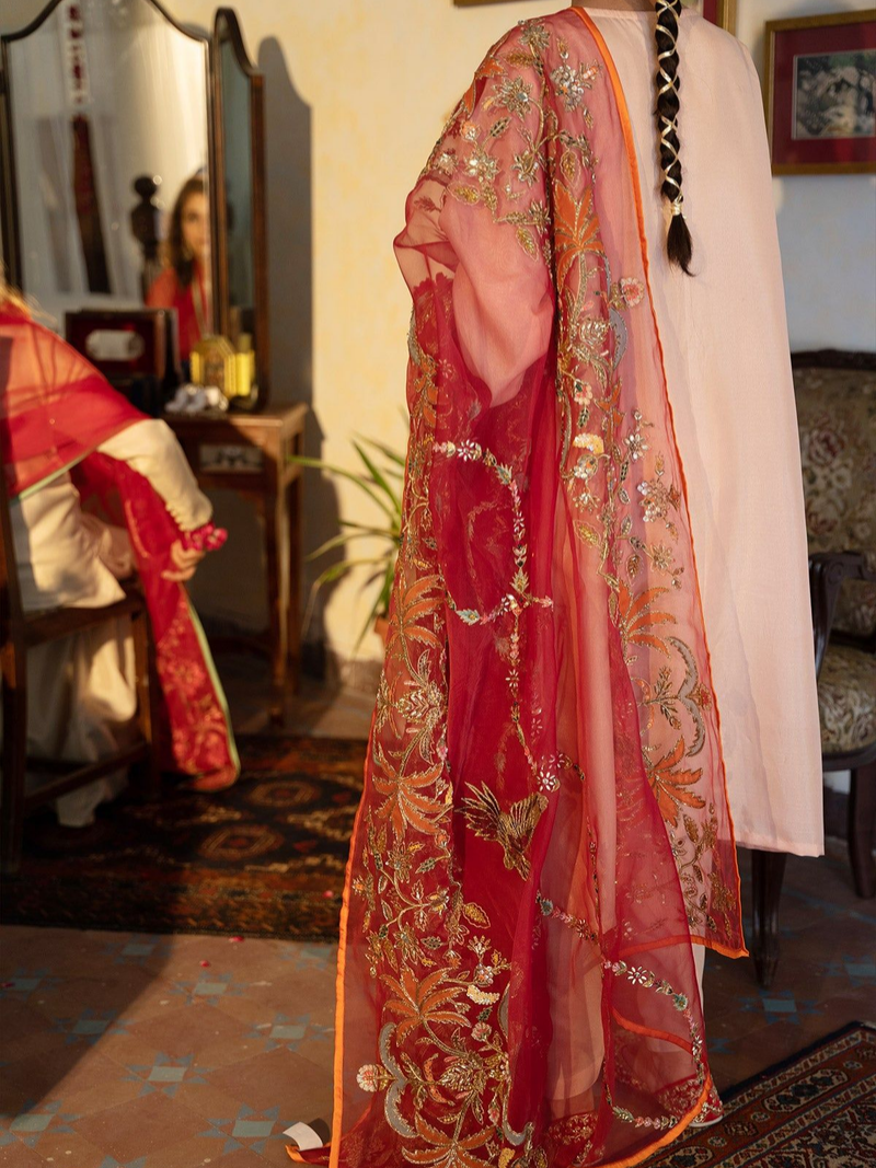 Vashah Anaari - Shawl - Hand Embroidered Organza Shawl - Shopping Karado