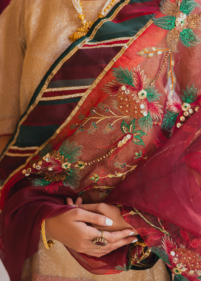 Vashah Shajar Shawl - Hand Embroidered Organza Shawl - Shopping Karado
