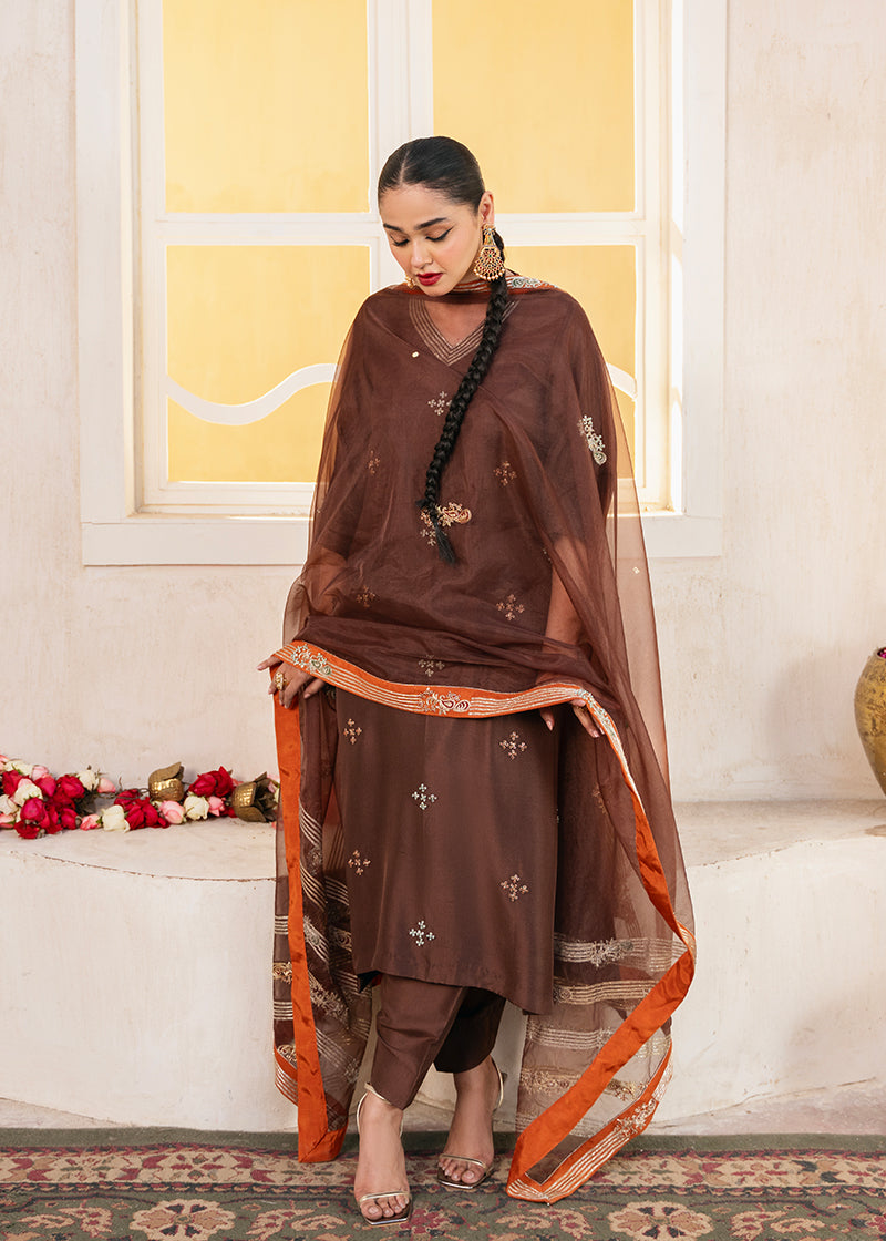 Afshan Shawl - Handcrafted Organza Shawl by Vashah - Shopping Karado
