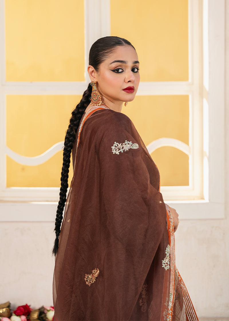 Vashah Afshan Shawl - Hand Embroidered Organza Shawl - Shopping Karado
