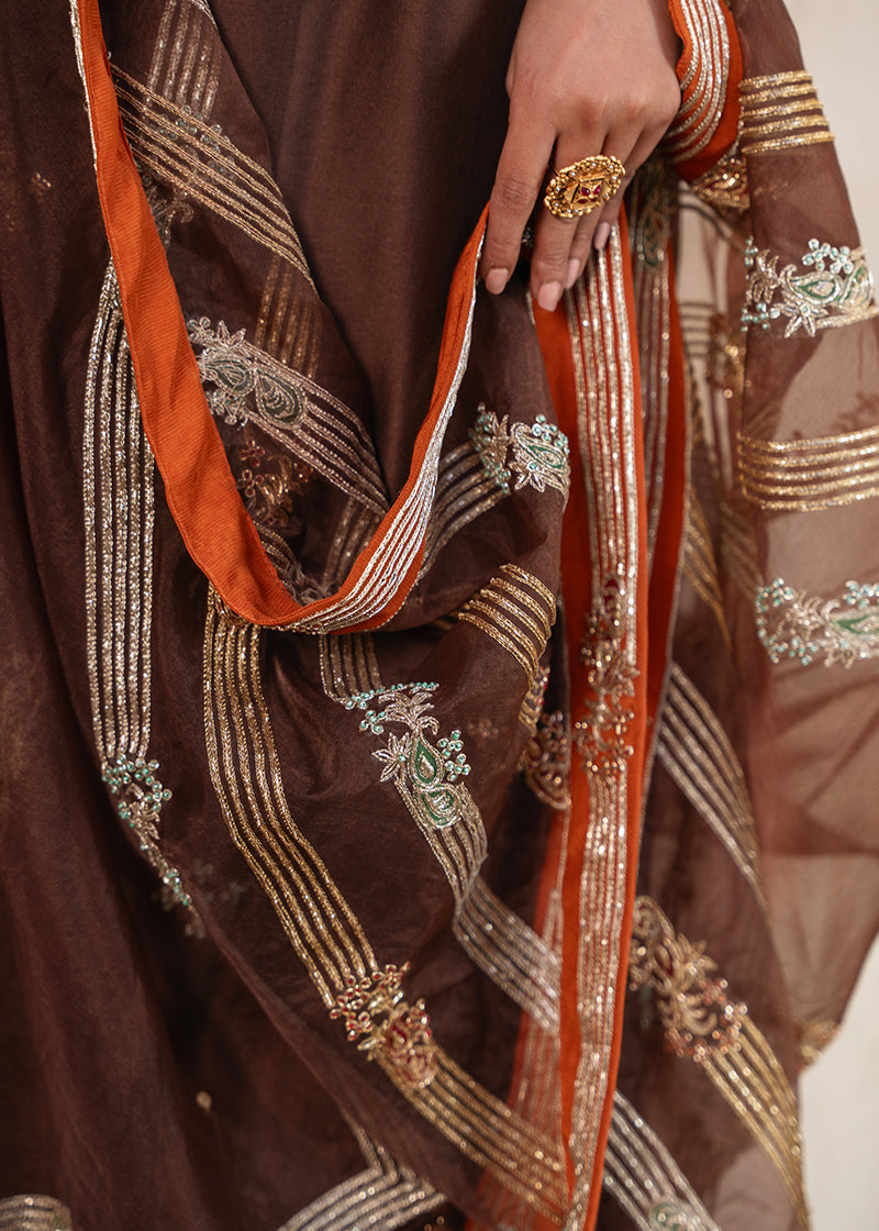 Afshan Shawl Detail View - Luxury Pakistani Shawl - shoppingkarado.com