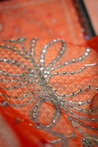 Banaras Detail View - Luxury Pakistani Shawl - shoppingkarado.com