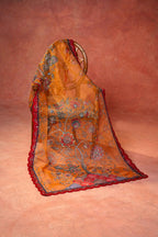 Noor e Rohini Detail View - Luxury Pakistani Shawl - shoppingkarado.com