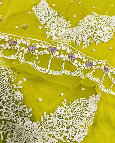 2Pc Gulnaar Dhani Lawn