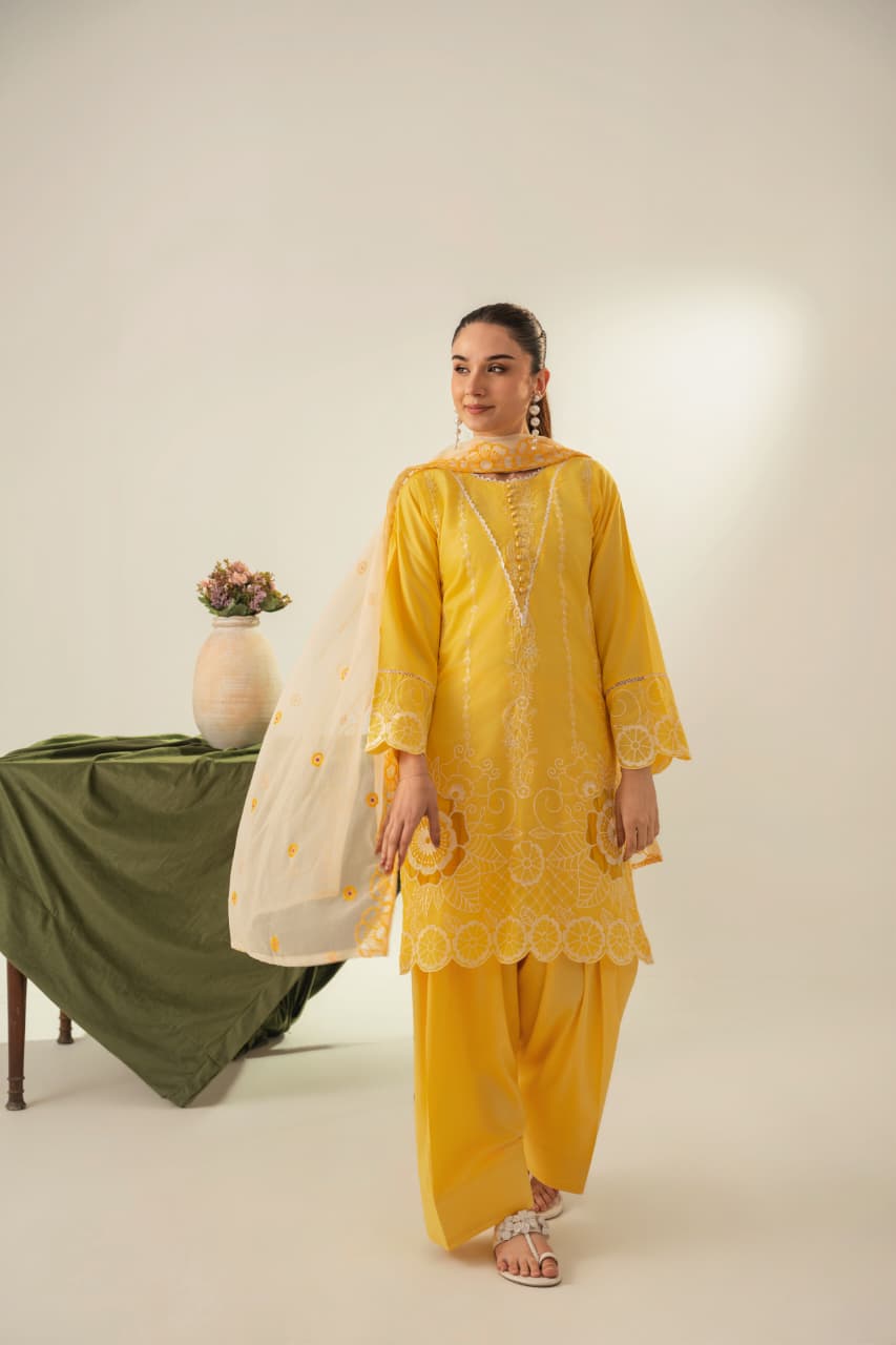 Buy Soraya Farshi 3Pc Online at Shopping Karado