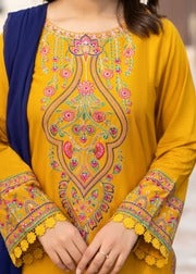 Buy Rang Reza 3Pc Online at Shopping Karado