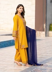 Buy Rang Reza 3Pc Online at Shopping Karado