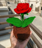 A single royal red rose handmade crochet mini potted plant.