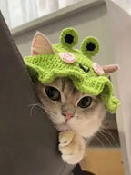 An adorable cat peek-a-boo pose wearing a bright green frog-style Kashmiri handmade crochet hat with big eyes.