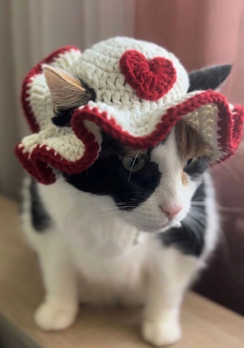 A calico cat wearing a white Kashmiri handmade crochet sun bonnet featuring a large red heart in the center.